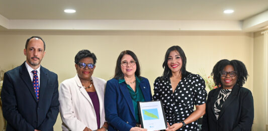 Ministerio di Salubridad, DVG y PAHO ta promove colaboracion pa revalidacion na Aruba: Workshop nacional y introduccion oficial di Comision Nacional ta marca siguiente paso den implementacion di Plan Strategico pa Revalidacion y Medionan di Apoyo