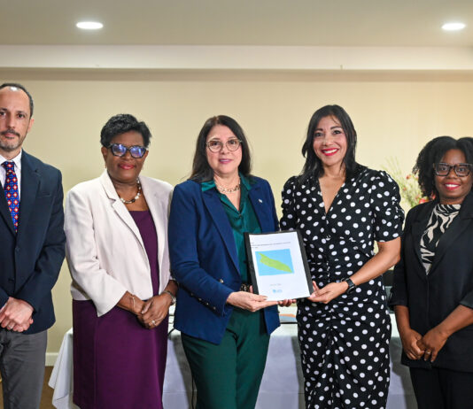Ministerio di Salubridad, DVG y PAHO ta promove colaboracion pa revalidacion na Aruba: Workshop nacional y introduccion oficial di Comision Nacional ta marca siguiente paso den implementacion di Plan Strategico pa Revalidacion y Medionan di Apoyo