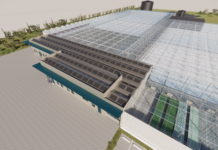 Minister Geoffrey Wever: Agri-Innovation Park Aruba a yega na siguiente fase: diseño tecnico y businesscase finalisa