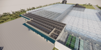 Minister Geoffrey Wever: Agri-Innovation Park Aruba a yega na siguiente fase: diseƱo tecnico y businesscase finalisa