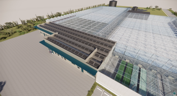 image aip building