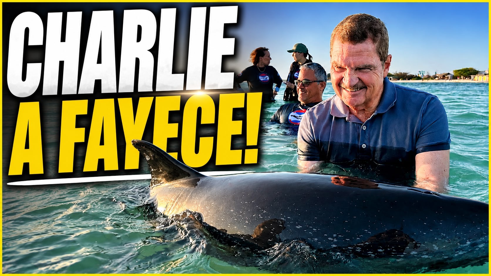 Dolfijn Charlie a fayece