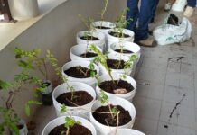 Dia Mundial di Medio Ambiente 2026: Un yamada urgente pa ‘Accion Climatico’ cu efecto bisto pa Aruba