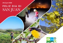 Celebracion Dia di San Juan y Dera Gay 2026 no mester tin impacto negativo pa bo salud ni medio ambiente.
