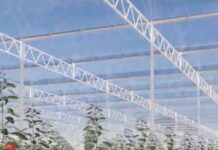 Minister Geoffrey Wever: Expertonan internacional a presenta diseño tecnico y business case di Agri-Innovation Park na Parlamento