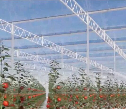 Minister Geoffrey Wever: Expertonan internacional a presenta diseño tecnico y business case di Agri-Innovation Park na Parlamento