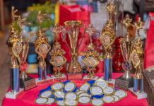 Brazil Taekwondo Stichting ta cla pa Aracari Cup