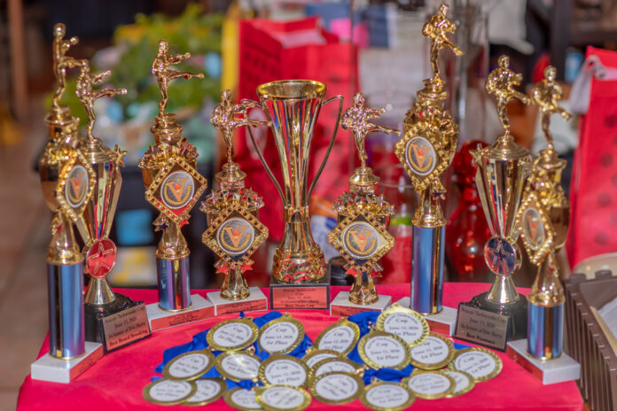 Aracari Taekwondo Cup 2026