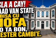 Sla a cay! Raad van State a bisa cu HOFA no ta bon, mester cambi’e