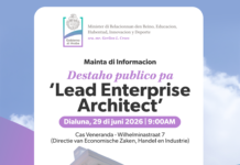 Ministerio di Innovacion: Destaho publico pa ‘Lead Enterprise Architect’ – creando confianza den un gobierno digitalisa