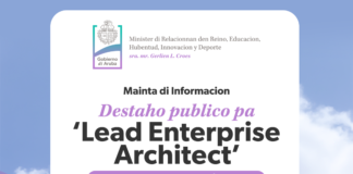 Ministerio di Innovacion: Destaho publico pa ‘Lead Enterprise Architect’ – creando confianza den un gobierno digitalisa