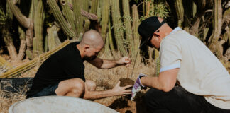 Terra by Jeremy Ford ta planta matanan nativo den The Bucuti Tara – GMC Nature Preserve pa contribui na futuro di Aruba