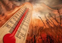 El Niño por trece calor extremo y secura, DVG ta conseha comunidad pa ta prepara
