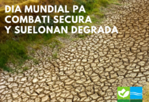 Dia Mundial pa Combati Secura y Suelonan Degrada 2026: Proteha Nos Tera: Combati Secura y Degradacion di Suelo na Aruba