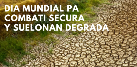 Dia Mundial pa Combati Secura y Suelonan Degrada 2026: Proteha Nos Tera: Combati Secura y Degradacion di Suelo na Aruba
