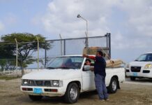 Mas cu 100 ton di sushi colecta den algun ora di Dia Nacional Ban Cuida Aruba