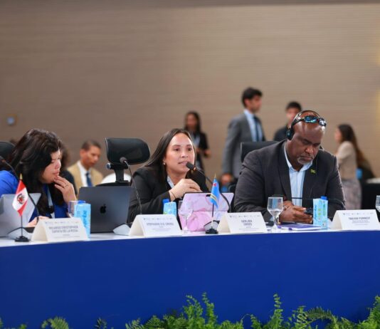 Minister Gerlien Croes: Ministerio di Relacionnan den Reino, Educacion, Hubentud, Innovacion y Deporte lo inicia Proceso Pa Desaroya Plan Strategico Nacional pa Inteligencia Artificial