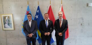 Aruba ta explora pa trece mas fruta y berdura fresco for di Peru