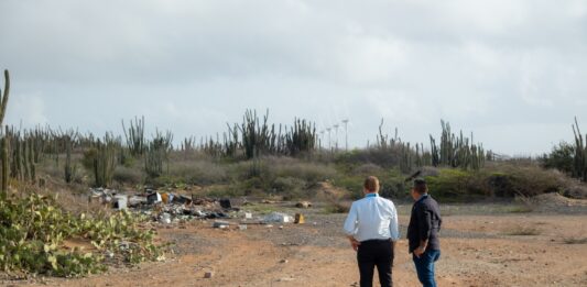 Acogida masal pa Dia pa Cuida Aruba: Bakinan di sushi a yena den prome ora