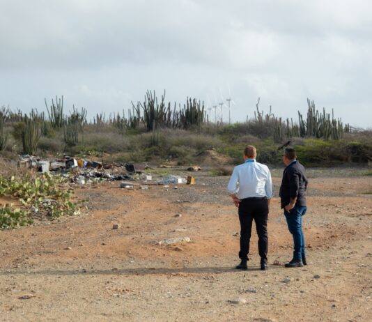 Acogida masal pa Dia pa Cuida Aruba: Bakinan di sushi a yena den prome ora