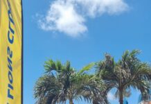 Exitoso Feria di Salud organiza pa Aruba Lions Club Â