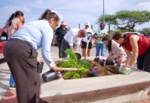Gobierno ta sigui “Siembra Speransa” na Linear Park