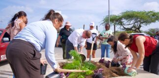 Gobierno ta sigui âSiembra Speransaâ na Linear Park