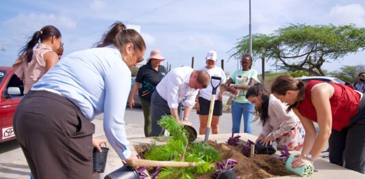 Gobierno ta sigui āSiembra Speransaā na Linear Park