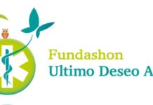 Deseo di un pashent ta hiba na innovacion den cuido paliativo na Aruba