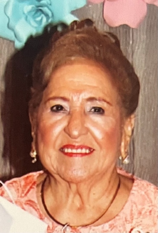 Maria Louisa Curiel-Henriquez
