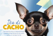 26 augustus; dia Internacional di cacho: Un mascota ta un compromiso pa bida