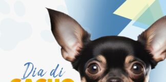 26 augustus; dia Internacional di cacho: Un mascota ta un compromiso pa bida