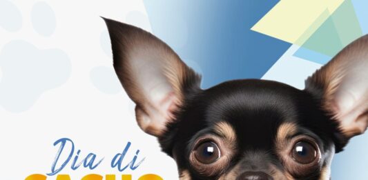 26 augustus; dia Internacional di cacho: Un mascota ta un compromiso pa bidaĀ