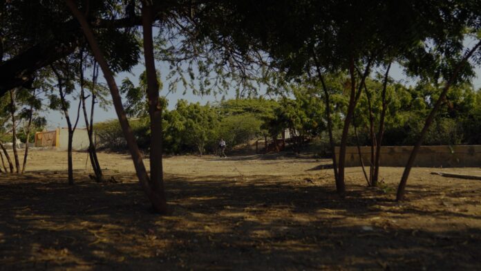 Cuida Aruba - Mabon (14)