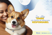 Ministerio di Salubridad hunto cu DVG ta promove doño di mascota responsabel pa proteha animal y comunidad: Pa un comunidad harmonioso, un doño di mascota responsabel alabes