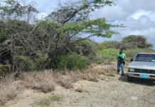 Ploegnan a uni forsa pa adelanta trabou di limpiesa den cuadro di Cuida Aruba