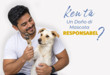Pa un comunidad harmonioso, un doño di mascota responsabel alabes!
