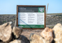 ACF ta pone enfasis riba restauracion ecologico y e capacidad di naturalesa pa recupera: ACF ta aplica ciencia y experiencia den conservacion pa restaura habitatnan terrestre