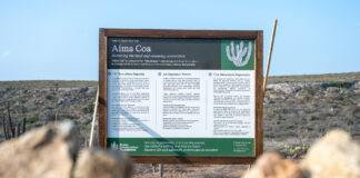 ACF ta pone enfasis riba restauracion ecologico y e capacidad di naturalesa pa recupera: ACF ta aplica ciencia y experiencia den conservacion pa restaura habitatnan terrestre