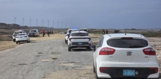 ACCIDENTE FATAL CU UTV PARIBA DI KIA DIADOMINGO ATARDI