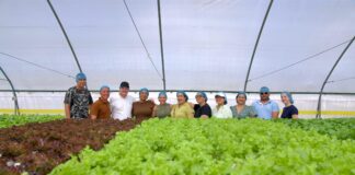 Accion di Bario: A conoce innovacion di 297 Farm y scucha evolucion di sector primario