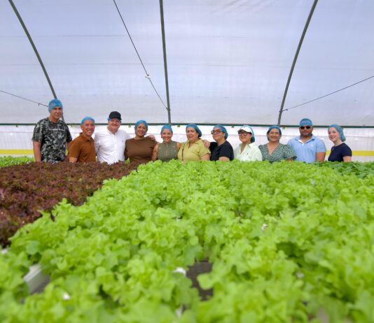 Accion di Bario: A conoce innovacion di 297 Farm y scucha evolucion di sector primario