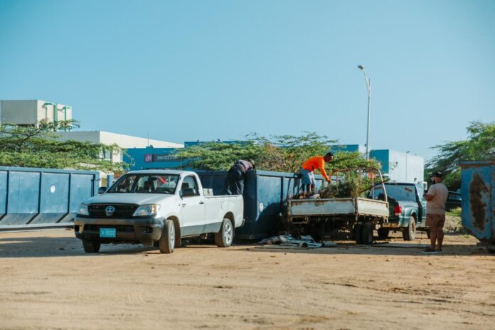 CuidaAruba edicion3 (19)