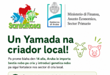Minister Geoffrey Wever: Yamada na tur criador: benta di bestianan existente di Santa Rosa den preparacion pa yegada di bestia nobo