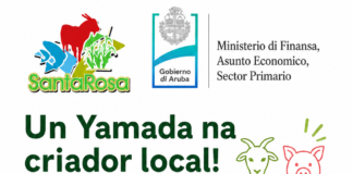 Minister Geoffrey Wever: Yamada na tur criador: benta di bestianan existente di Santa Rosa den preparacion pa yegada di bestia nobo