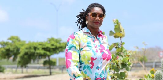 Parlamentario Otami Thomasia: βHistoria di Aruba mester sali for di archivo y drenta klasβ