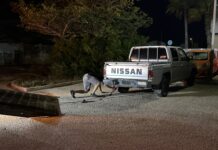 Pickup procedente di ladronicia a wordo uza pa a transporta brommer horta