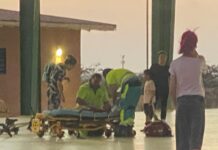 Mucha a cay kap cabes na Parke Curason Jaburibari