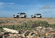CURPA SIN BIDA HAYA NA COSTA DI BACHELOR BEACH NA SAN NICOLAS