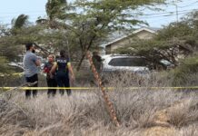 CUERPO POLICIAL ARUBA TA INFORMA A HAYA CURPA SIN BIDA DEN MONDI NA PRIMAVERA